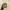 GW black font realtree hats photo 1