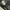 Dickies 874 / Celana Dickies photo 7