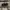 Longpants REALTREE Cargo photo 7