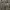Longpants REALTREE Cargo photo 4