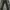 Erigo Chino Pants Sirius - Black (New)