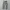 Dickies Cargo