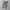 Dickies Cargo photo 1