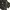 Wrangler Realtree Double Knee photo 5
