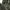 Wrangler Realtree Double Knee photo 3