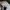Converse Run Star Hike Original - White (New) photo 5