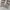 Dickies Cargo / Celana Dickies photo 5
