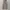 Dickies Cargo / Celana Dickies photo 2