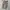 Dickies Cargo / Celana Dickies photo 1