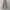 Dickies Cargo / Celana Dickies photo 2