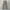 Dickies Cargo / Celana Dickies