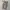 Dickies Cargo / Celana Dickies