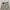 Dickies Cargo / Celana Dickies photo 4
