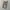 Dickies 874 photo 1