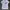 Tornado mart flower art knit t shirt photo 2