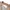 BESLOW STANDARD COLLARLESS CANVAS OUTTER JACKET  photo 3