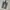 Dickies 874 Flannel Lined / Dickies 2874KH photo 4