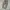 Dickies 874 Flannel Lined / Dickies 2874KH photo 2