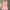 one set ribbon pink  photo 1