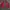 Vintage Y2K Harrington jacket Pria red photo 7