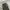 Musinsa standard tapered fit pants photo 4