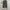 Musinsa standard tapered fit pants photo 3