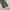 Musinsa standard tapered fit pants photo 5