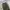 Musinsa standard tapered fit pants photo 2