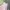 baby pink one set photo 2