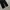 Tension Cargo pants photo 6