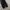 Japanese brand cargo pants photo 5