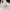 Avant Garde Hoody Pria white photo 1