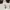 Avant Garde Hoody Pria white photo 3