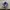 ADIDAS SPEZIAL NIGHT INDIGO photo 1