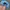 Vintage Streetwear Hat Pria blue photo 4