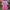 Jersey Baseball Momoiro Clover Z 2015 Original