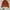 Jacket parka art avant garde photo 1