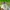 Jersey baseball tokyo yakult swallows 2021

Original photo 3