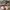 LOUIS VUITTON TRAINERS SIGNATURE WHITE RED SNEAKERS , LOUIS  photo 4