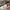 LOUIS VUITTON TRAINERS SIGNATURE WHITE RED SNEAKERS , LOUIS  photo 1