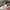 LOUIS VUITTON TRAINERS SIGNATURE WHITE RED SNEAKERS , LOUIS 