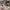 LOUIS VUITTON TRAINERS SIGNATURE WHITE RED SNEAKERS , LOUIS  photo 3