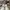 LOUIS VUITTON TRAINERS SIGNATURE WHITE RED SNEAKERS , LOUIS  photo 2
