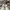 LOUIS VUITTON TRAINERS SIGNATURE WHITE RED SNEAKERS , LOUIS 