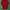 Kaos Carhartt WIP Red photo 1
