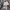 PAY COME DES GARCONS CARDIGAN ABU photo 4