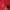 dickies art 22 red velvet photo 5