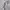 COMODO BLANK HAFZIP KNIT photo 2