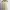 No Minus Dress Cream Woman photo 1