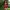 bikini set / red sexy / beachwear photo 3